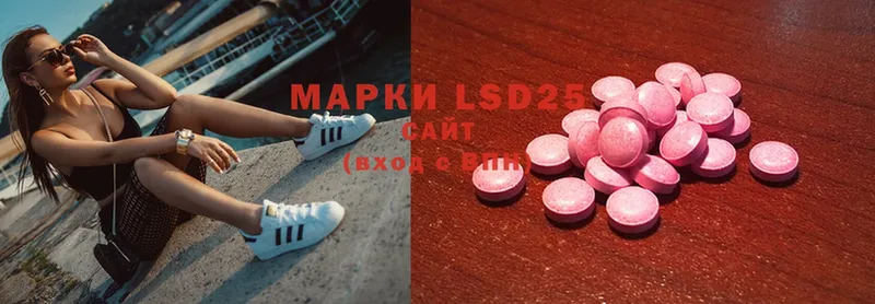 LSD-25 экстази кислота  Курчалой 